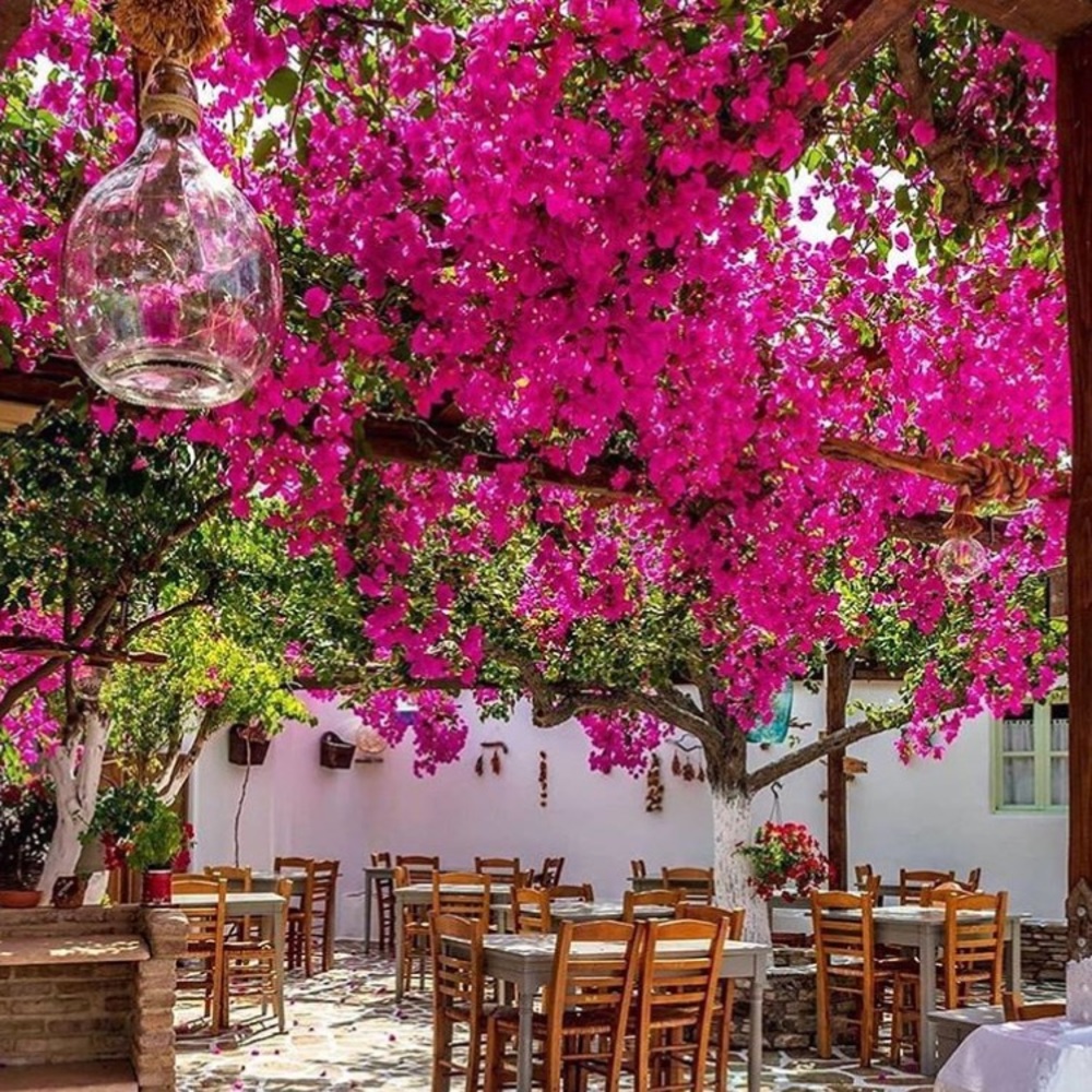 Meet your Posher, Tina